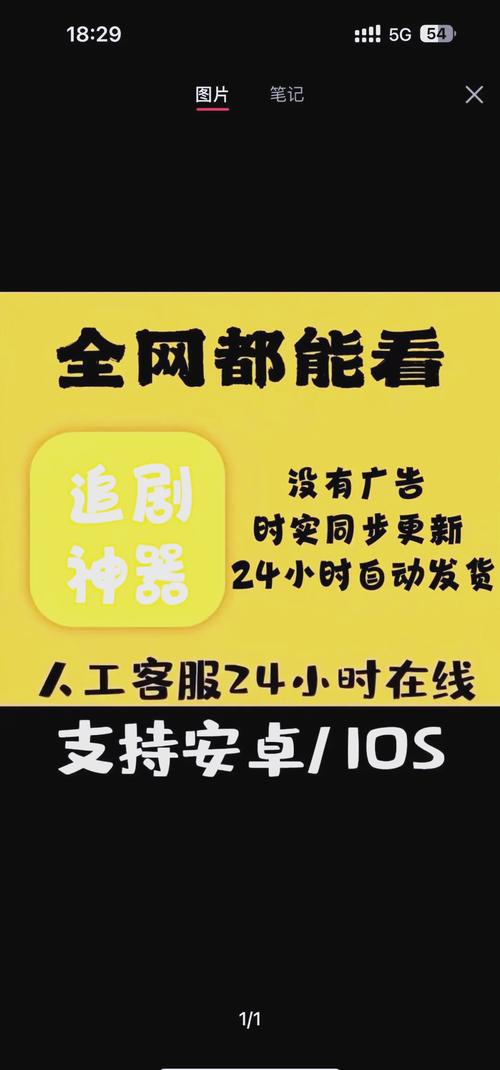 18禁在线观看免费网站的相关介绍