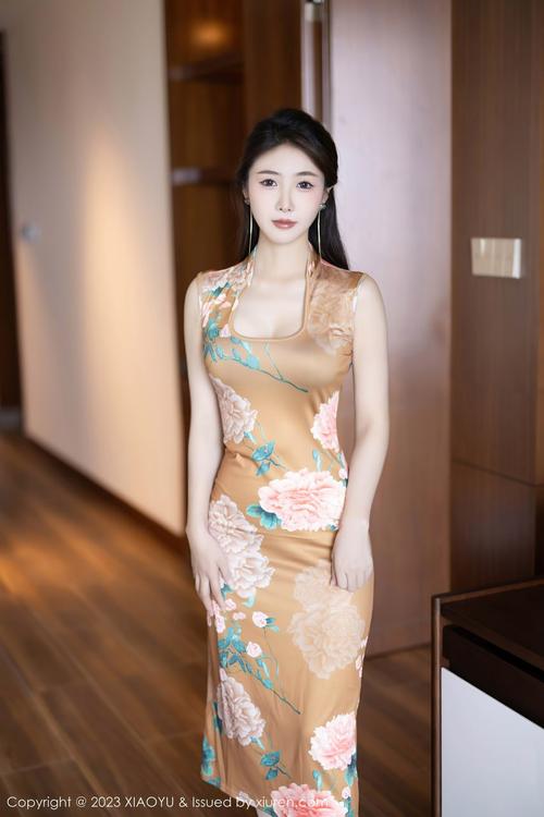 波罗野结衣毛片的相关介绍