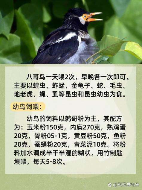 神马影院gg的相关介绍