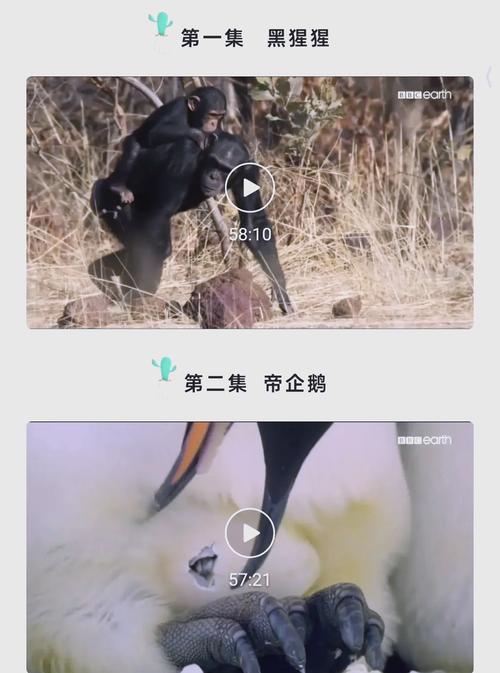 亚洲综合少妇的相关介绍