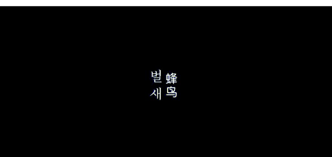 va在线播放的相关介绍