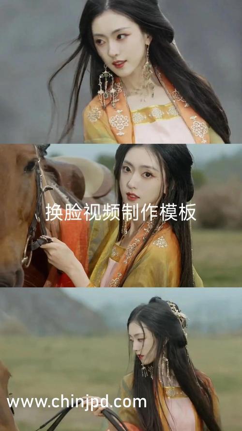 不收费西欧毛片的相关介绍