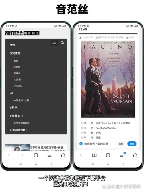 把老婆操出白浆的相关介绍