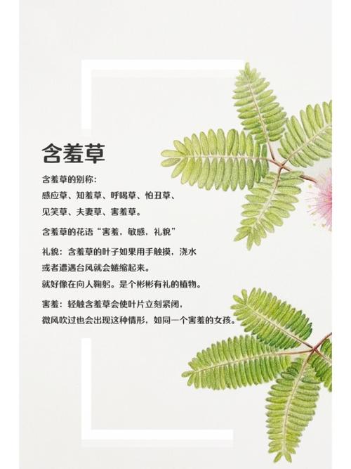国外影院的相关介绍
