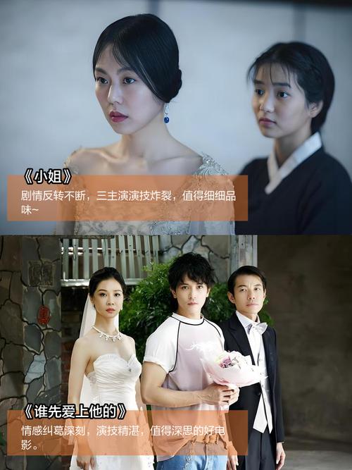 一发影院理伦大全的相关介绍