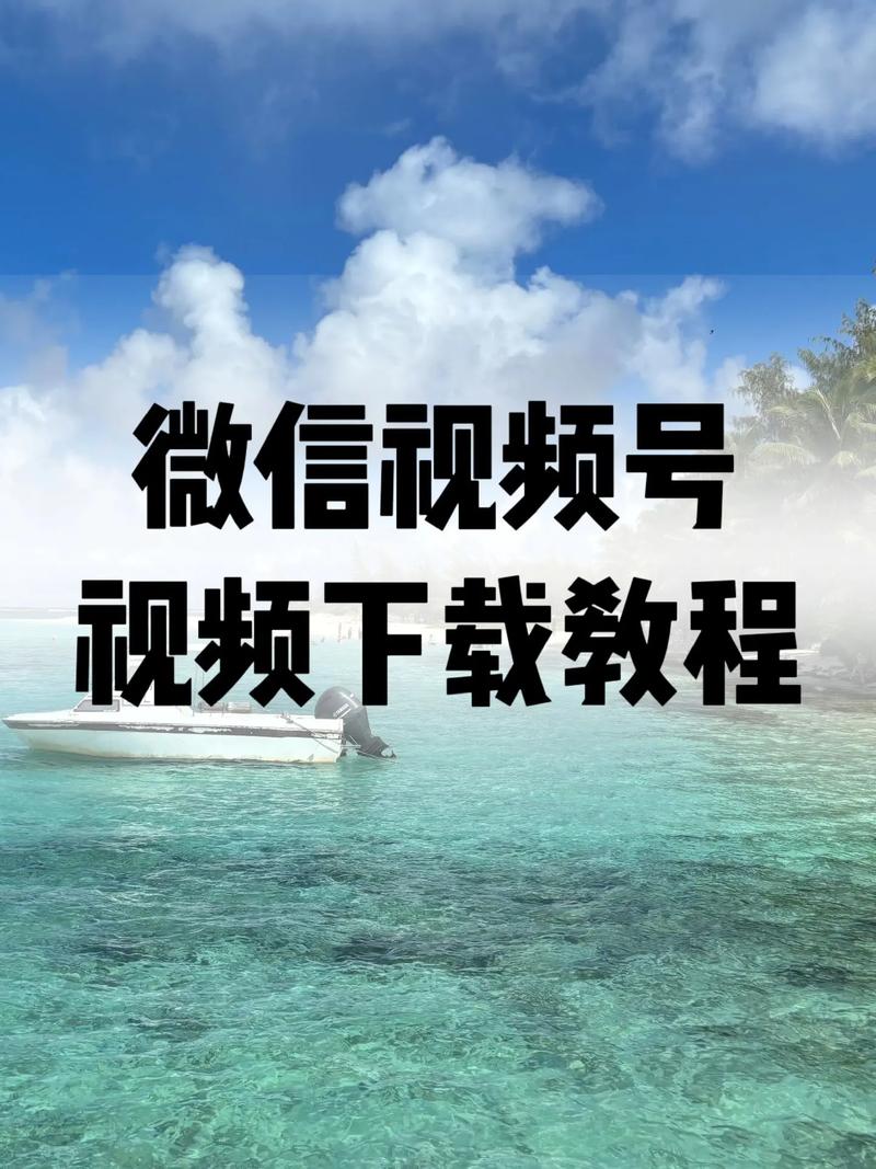 美女被爆操av的相关介绍