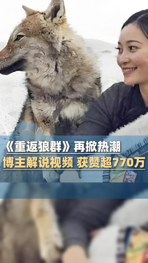 狠狠的少妇熟女的相关介绍