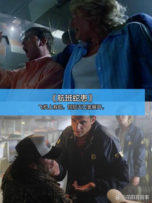 神马影院将夜的相关介绍
