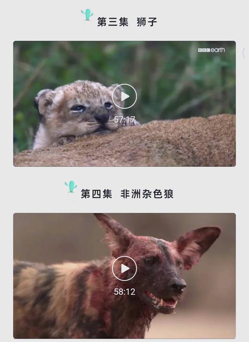男人天堂久久婷婷的相关介绍