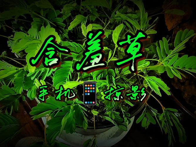 欧美一区二区在线观看不卡的相关介绍