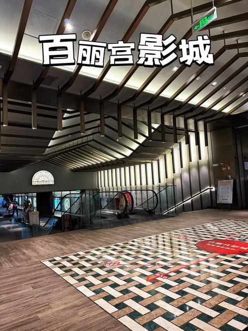 看视频的app免费下载的相关介绍