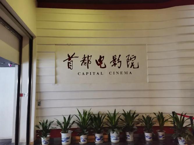 美女福利影视蜜桃av的相关介绍