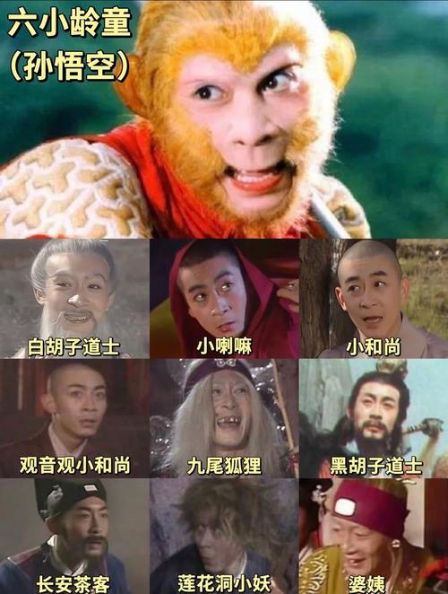 k8毛片在线播放的相关介绍