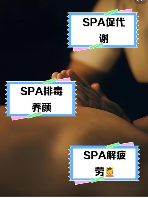 欧美一区二区三区区成人影院欧美的相关介绍