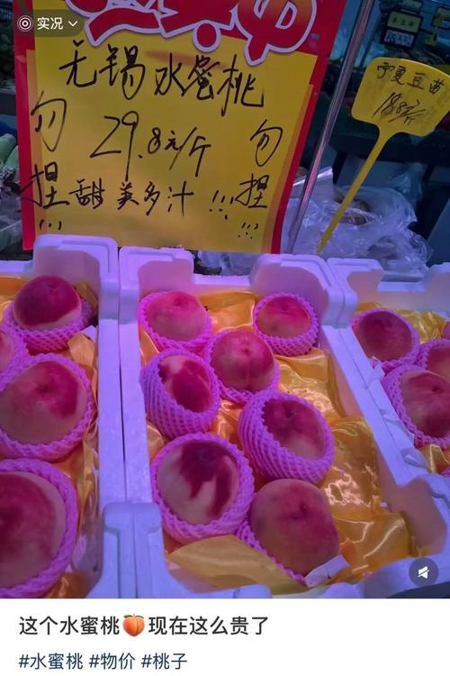 欧美图片淫的相关介绍