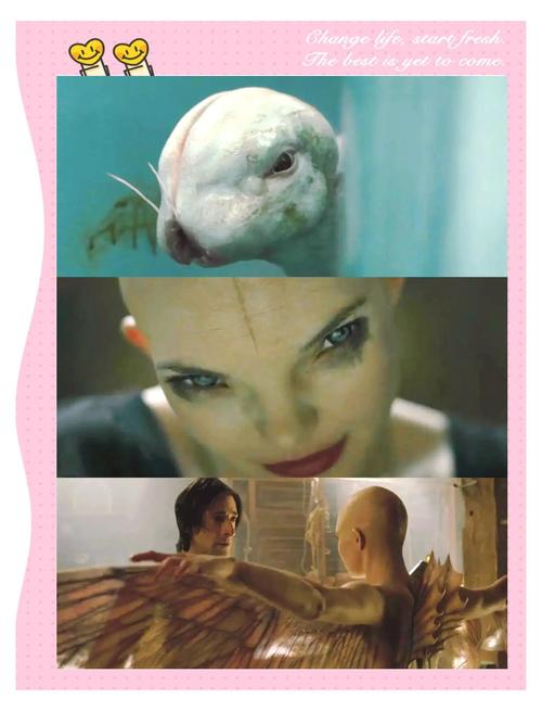 少妇人妻少妇人妻少妇人妻的相关介绍