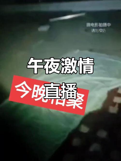国产一区二区三区va的相关介绍
