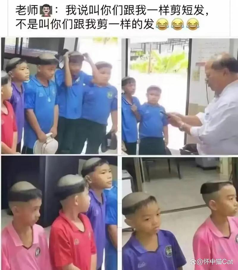 操到流白浆在线观看的相关介绍