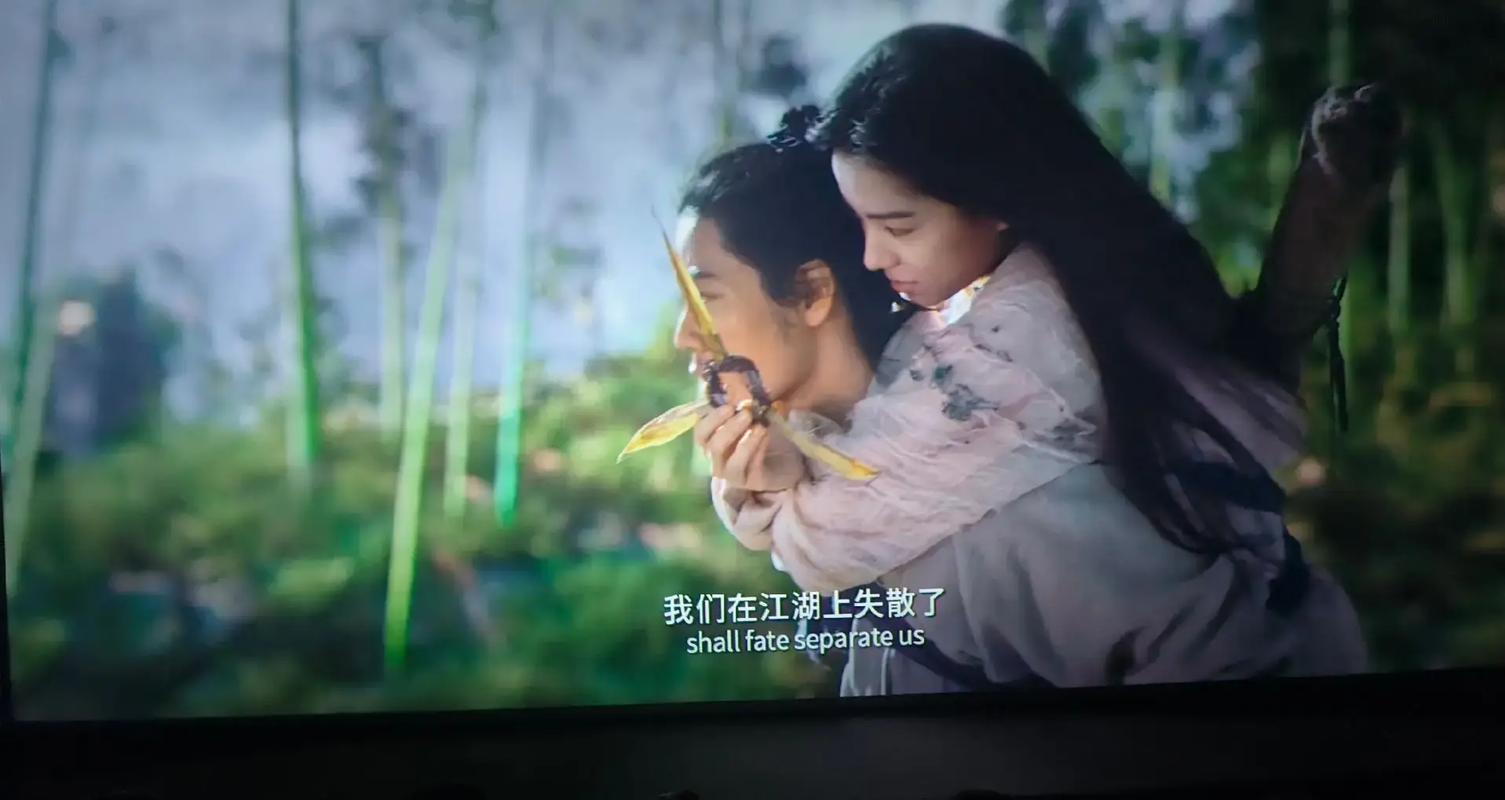 小清新影院变态视频的相关介绍