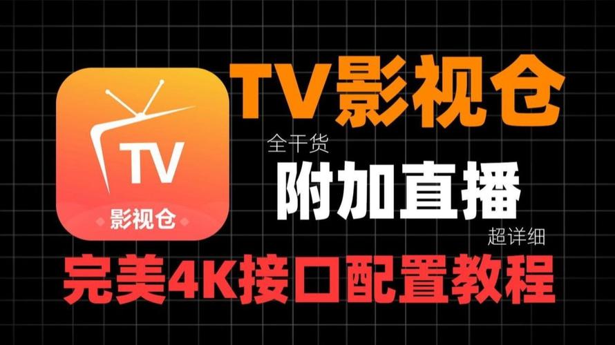 日韩美女av在线一区二区的相关介绍