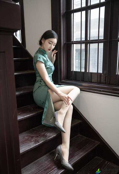 熟女人妻在线免费的相关介绍