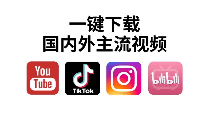 国产干逼网的相关介绍