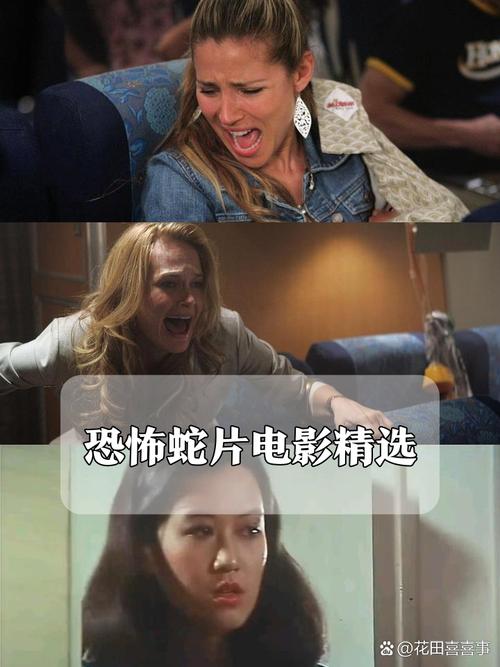 久久久精品久久久久久的相关介绍