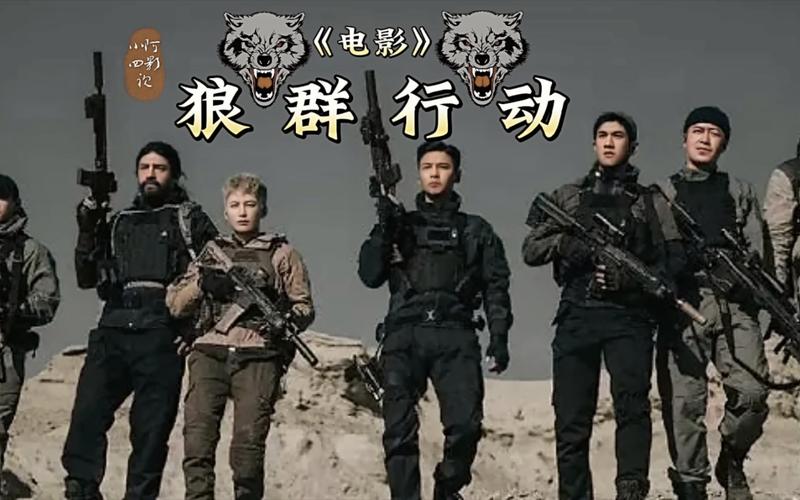 新视觉影院6080手机版的相关介绍