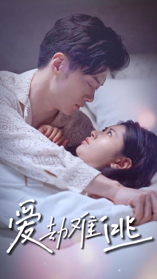成年人性生活毛片的相关介绍