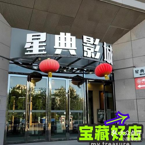 99国产精品99久久久久久胖胖的相关介绍