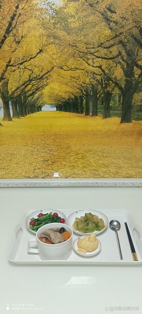 精品国久久久久久的相关介绍
