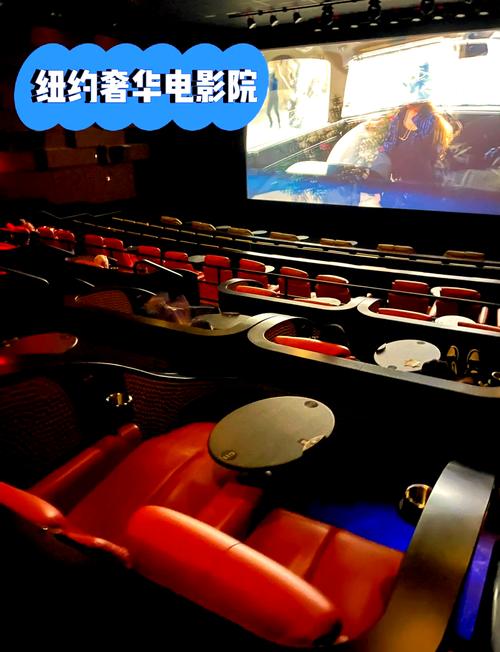 琪琪影院手机2018免费的相关介绍