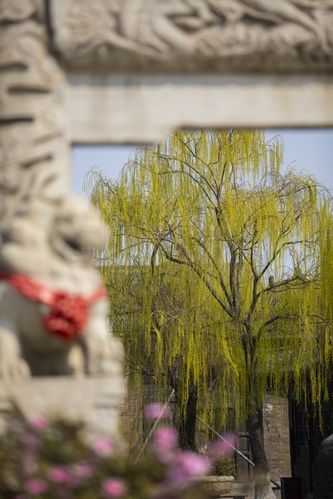 男生电影院的相关介绍