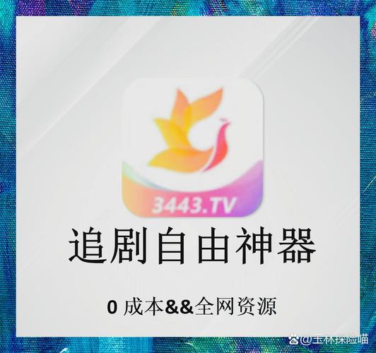 2020最新高清毛片的相关介绍
