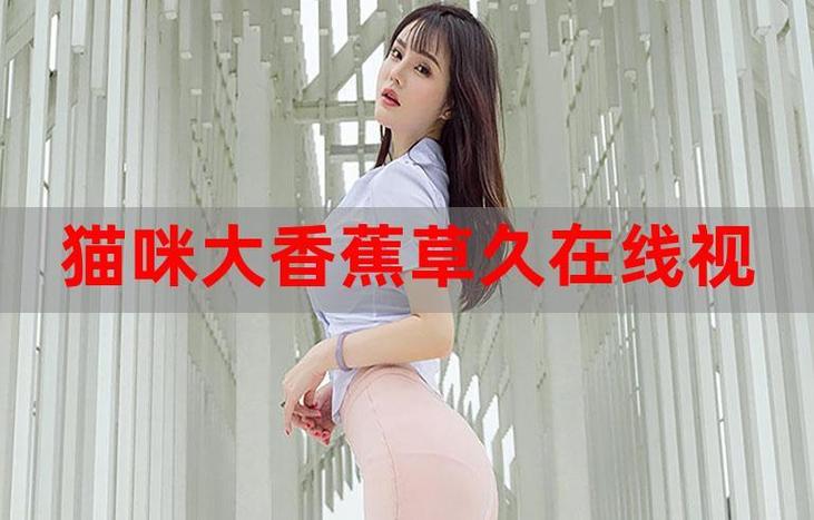 光棍手机在钱影院的相关介绍