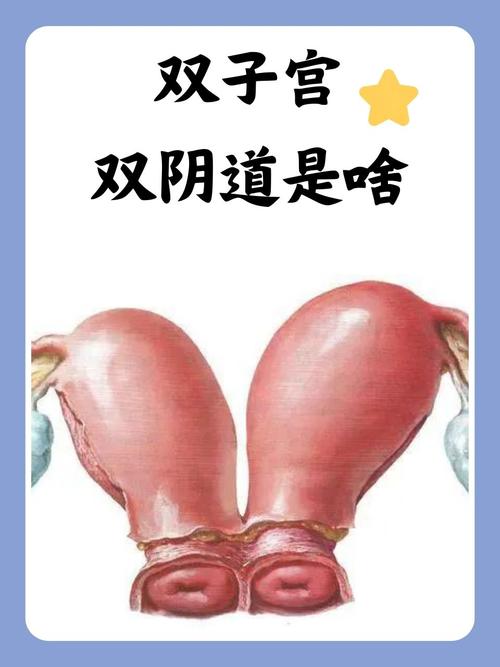 韩国电影院的相关介绍