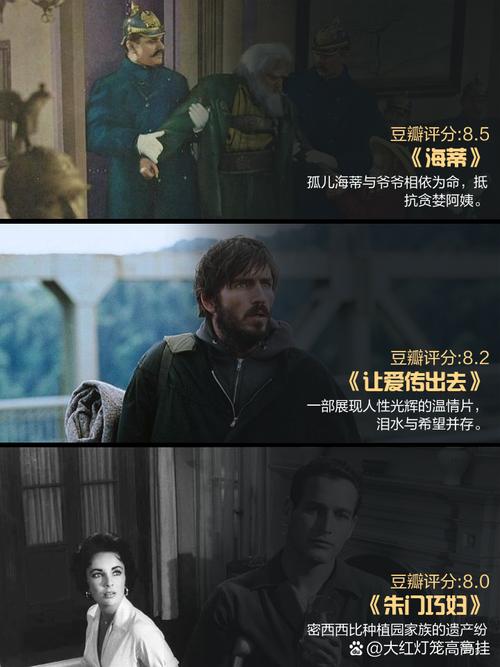 椰子影院的相关介绍