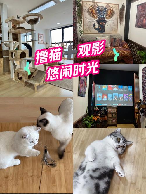 8848影院的相关介绍