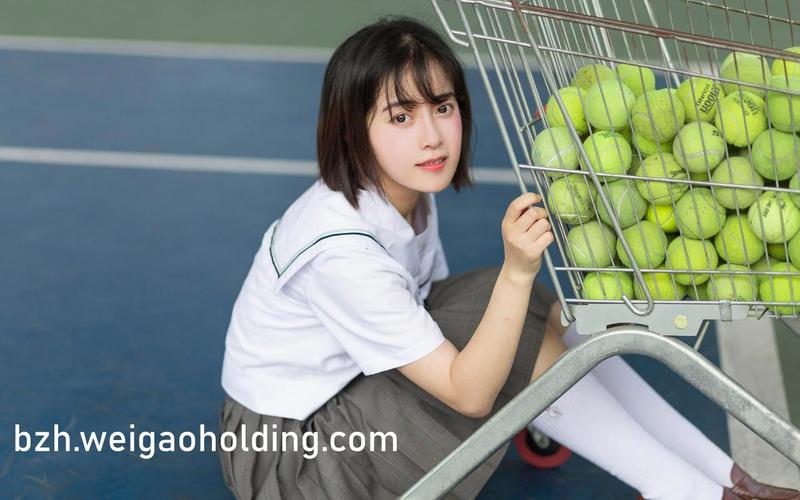 新影联华谊兄弟影院的相关介绍