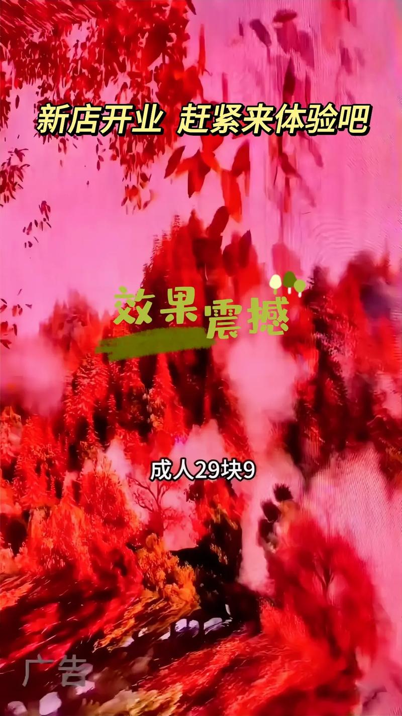 午夜理论影院第九电影院的相关介绍