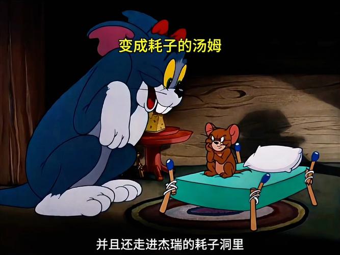 视频app下载网站的相关介绍