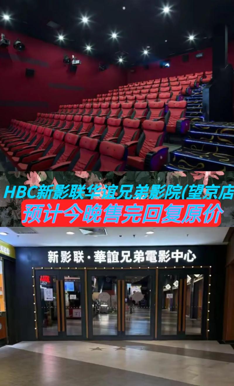 诚丰电影院的相关介绍