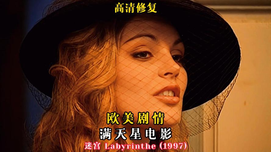 成人久久激情网的相关介绍