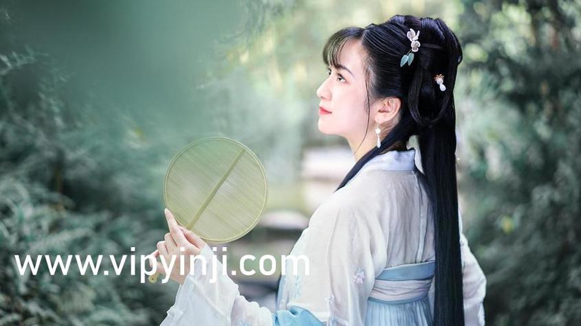 午夜宫影院在线的相关介绍