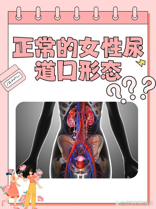 花生影院的相关介绍