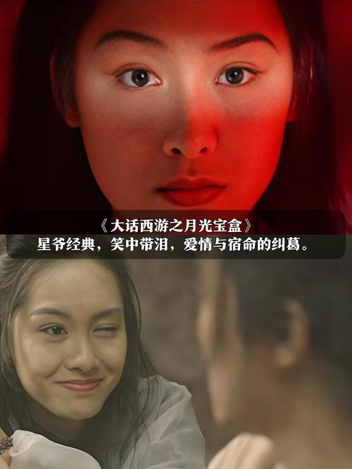 小猪影院的相关介绍