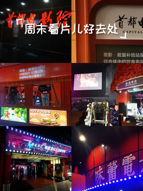 欧美变态另类一区二区的相关介绍