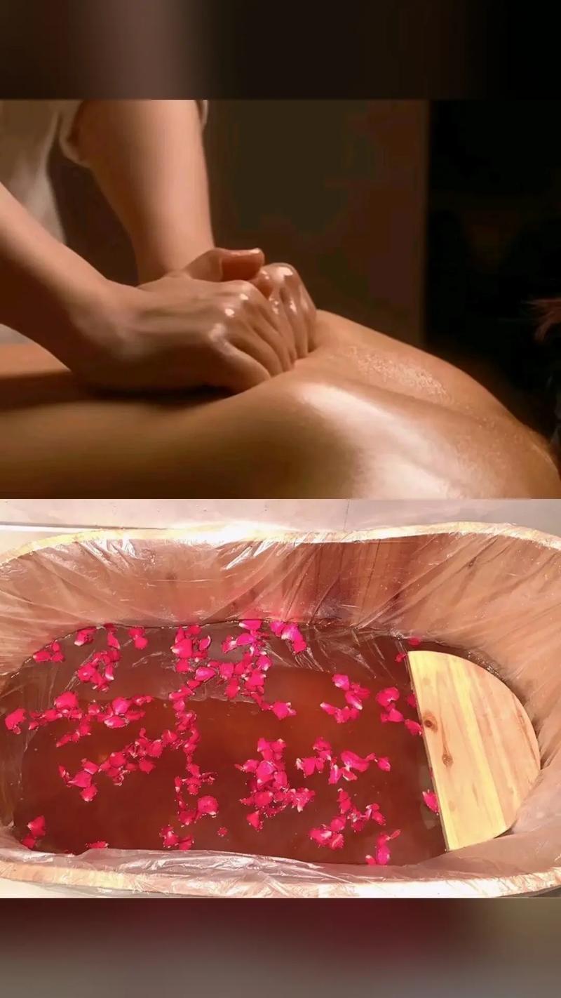 成年人的生活毛片的相关介绍