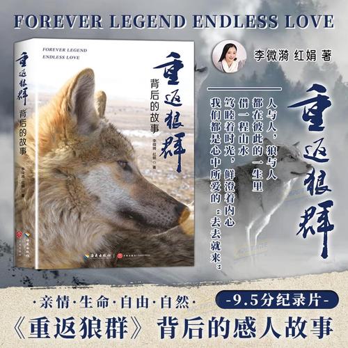 久播影院无码中文字幕的相关介绍