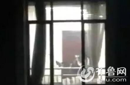 亚洲天堂爱伊人久久的相关介绍